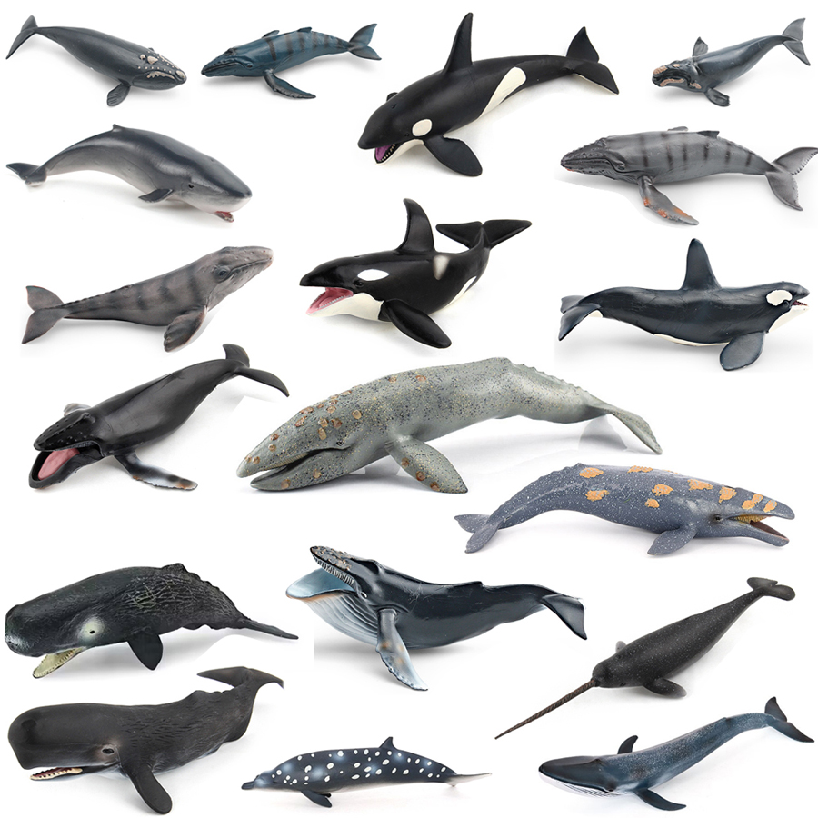 Realistic Humpback Whale Sperm - Kids No Education 评论和价格
