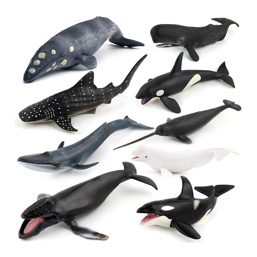 Realistic Humpback Whale Sperm - Kids No Education 评论和价格