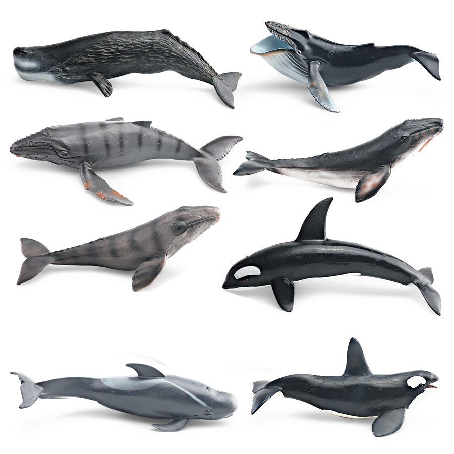 Realistic Humpback Whale Sperm - Kids No Education 评论和价格