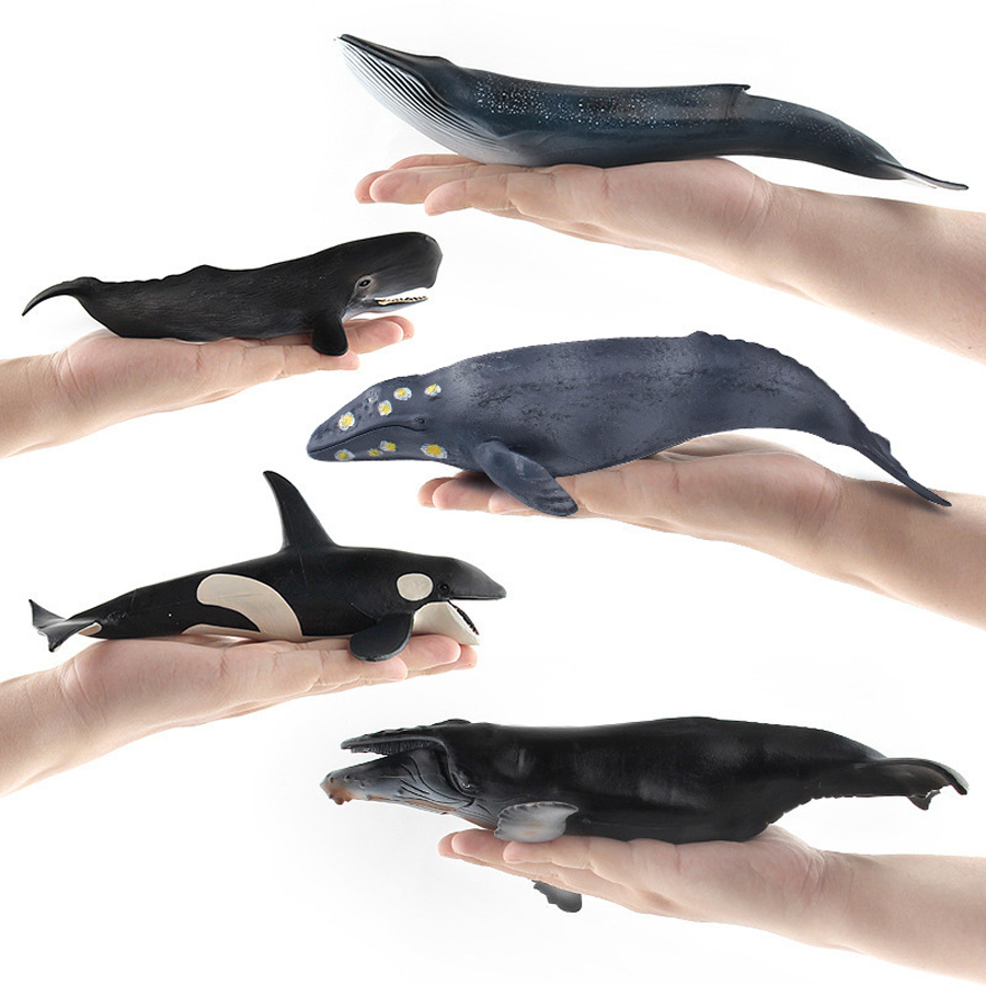 Realistic Humpback Whale Sperm - Kids No Education 评论和价格
