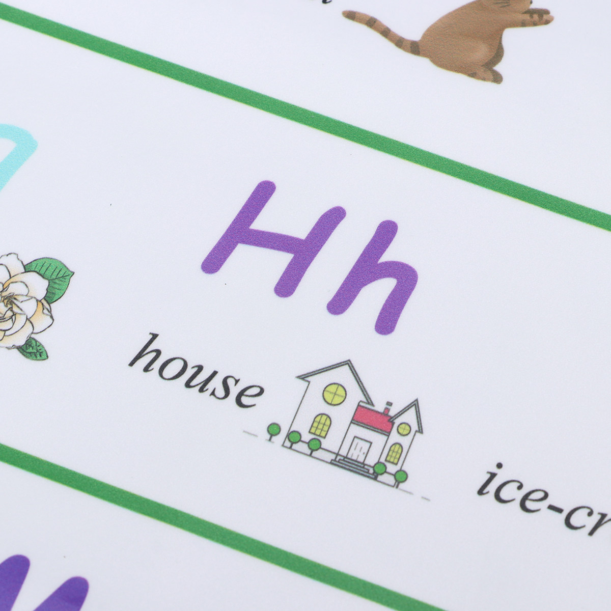 Early Education Self-Adhesive  - Kids Education Charts 评论和价格